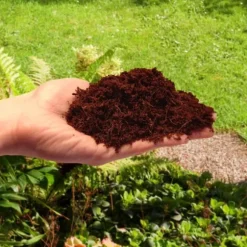 Lossad kokosfiber för växter och blommor 10mm 20L BIOVITA