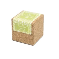 Magnetisk Grow Cube Pansy