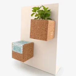 Magnetisk Grow Cube Pansy