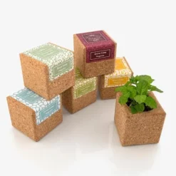 Magnetisk Grow Cube Pansy