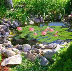 Mesh Aquatic Plant Pot - Set om 4 för vattenträdgårdar Round shape