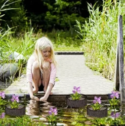 Mesh Aquatic Plant Pot - Set om 4 för vattenträdgårdar Round shape