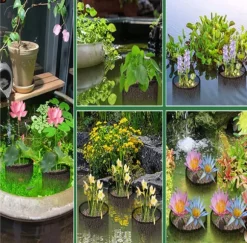 Mesh Aquatic Plant Pot - Set om 4 för vattenträdgårdar Round shape