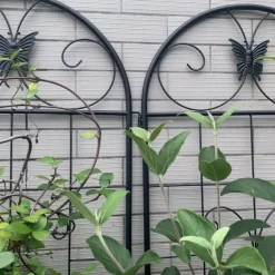 Metallgaller 2-pack för klätterväxter, stöd för krukväxter, husväxter, blommor, grönsaker & trädgårdsdekoration inne/ute