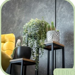 Metallställ för blommor och växter, hyllplan med 3 nivåer, loft 68