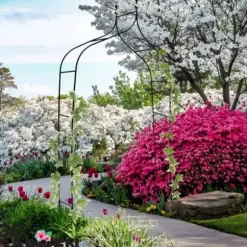 Metallträdgårdspergola för blommor, rosor, klätterväxter, stöd, båge, ankare, trädgård