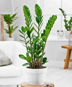 Mineralgelgödsel för krukväxter 0,5 l Agrecol