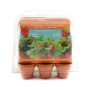 Mini växthus 6 krukor - Jordgubbar att odla