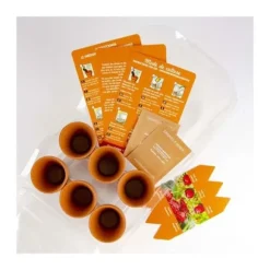 Mini växthus 6 krukor - Jordgubbar att odla