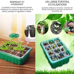 Mini växthus för växter - Ej specificerat - 5 delar - Ventilerad kupol - Transparanta lock - 19x14,5x16,5 cm