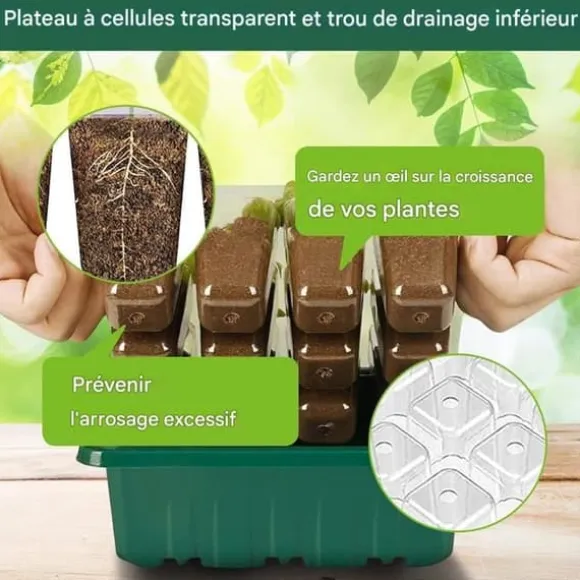Mini växthus för växter - Sädesplåt - Mini växthus för sådd - 10 st 12-cellers såddsplattor, med upphöjda lock, 2 verktyg