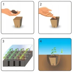Miniväxthusplantset 30 delar