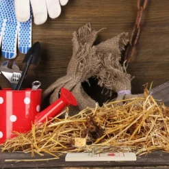 Musfälla, Trä, 2x4.5x10 cm, Natur