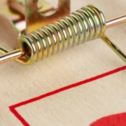 Musfälla, Trä, 2x4.5x10 cm, Natur