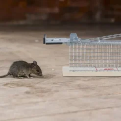 Musfälla, 7x16x6.5 cm, Silver