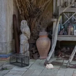 Musfälla, 12x24x11.5 cm, Svart