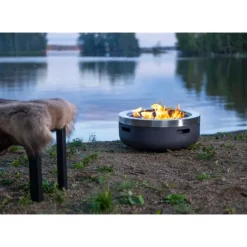 Mustang Eldstad Burbank