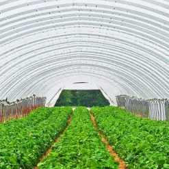 3,6Mx8,5Mx0,15MM polyeten växthusfilm, utmärkt styrka och seghet, UV-beständig, lång livslängd, lätt att göra-det-själv