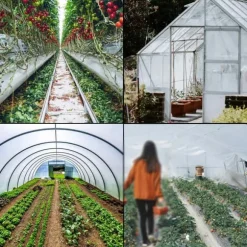 3,6Mx8,5Mx0,15MM polyeten växthusfilm, utmärkt styrka och seghet, UV-beständig, lång livslängd, lätt att göra-det-själv