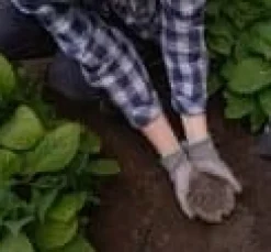 Naturlig granulerad fårgödsel Bopon 5L - Stöd för din trädgård!