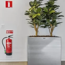 Nexa Brandsläckare Skum Röd 6L 21A 144B