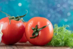 Nässlgödsel naturligt koncentrat för tomatplantor i kruka 0,5 l