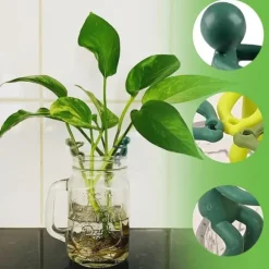 OBOSOE 6 St. Växtstöd – Stöd för Sticklingar, Skott och Växtstjälkar, Växthållare & Växtklämmor för Förökning och Inomhusträdgård