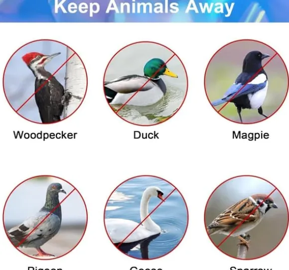 OBOSOE Fågelskrämma Reflekterande Band - 50m,Naturligt fågelavvisande och dekorativt