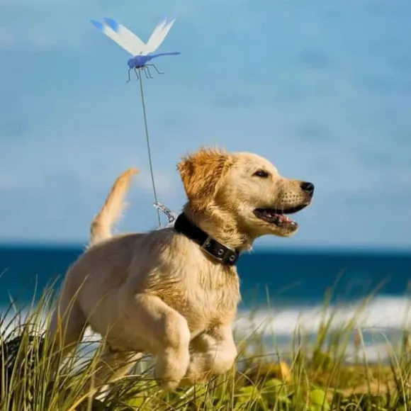 OBOSOE 50-pack Trädgårdsdekoration – 3D PVC Fjärilar på Pinnar & Trollsländor med Klämma, för Utomhusbruk