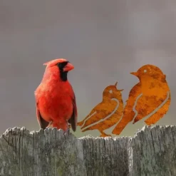 OBOSOE 5-pack Trädgårdsdekoration Fåglar – Rostig Järnkonst för Uteplats & Trädgård Dekor