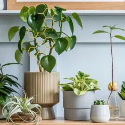 OBOSOE 4-pack växtstöd i metall – Guldfärgat klätterstöd i bikakemönster för krukväxter, blommor & klätterväxter