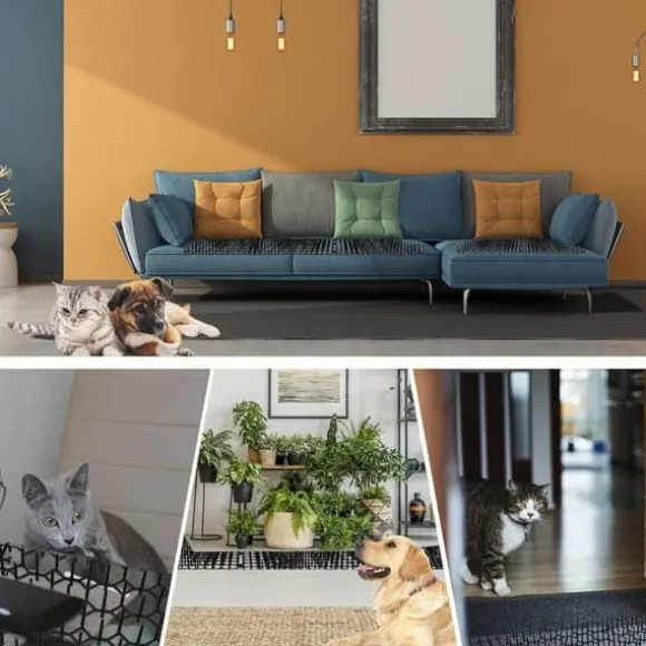 OBOSOE Taggnät Mot Katter - 12 st Kattskrämmande Mattor 20x15 cm • Djuravvisande med Spetsar • Skyddar Trädgårdar & Möbler