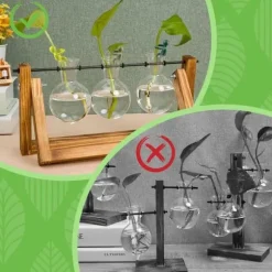 OBOSOE Växtförökningsstöd 6st, Sött Växtställ & Växtstöd för Sticklingar och Inomhusträdgård