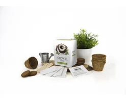 Odla Ditt Eget Kaffe Gift Republic Ltd.