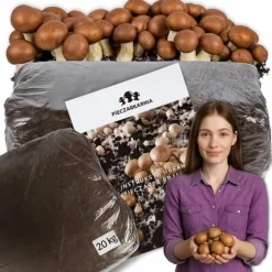 Odlingskit för bruna svampmycelium 20 kg bal 3-fas substrat