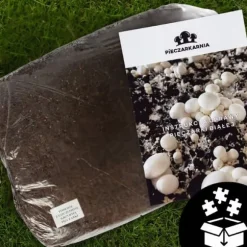 Odlingskit för bruna svampmycelium 20 kg bal 3-fas substrat