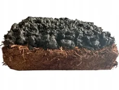 Odlingskit för bruna svampmycelium 20 kg bal 3-fas substrat