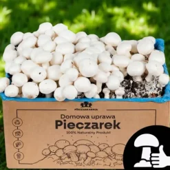 Odlingskit för svampmycelium 8 kg, instruktioner för hemmaodling + gratis gåva