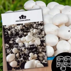 Odlingskit för svampmycelium 8 kg, instruktioner för hemmaodling + gratis gåva