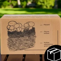 Odlingskit för svampmycelium 8 kg, instruktioner för hemmaodling + gratis gåva