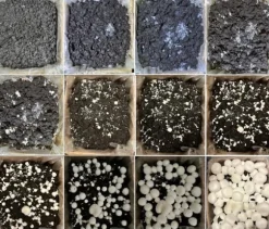 Odlingskit för svampmycelium 8 kg, instruktioner för hemmaodling + gratis gåva