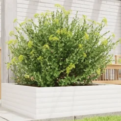 Odlingslåda i massiv furu 80x80x23 cm - Perfekt för blommor och växter | Färg: Vit | Storlek: 80x80x23 cm