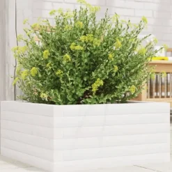 Odlingslåda i massiv furu - Perfekt för blommor och växter | Färg: Vit | Storlek: 50x50x23 cm