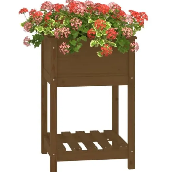 Odlingslåda med hylla i massiv furu - Elegant design | Färg: Honungsbrun | Storlek: 54x54x81 cm
