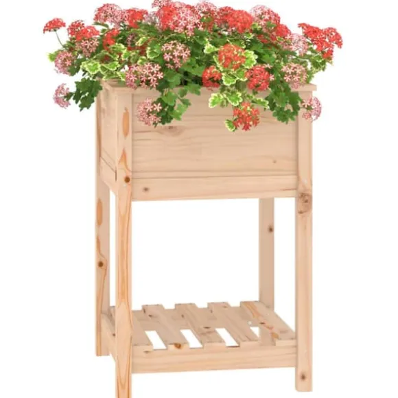 Odlingslåda med hylla i massiv furu - Ergonomisk och praktisk | Storlek: 54x54x81 cm | Färg: Natur