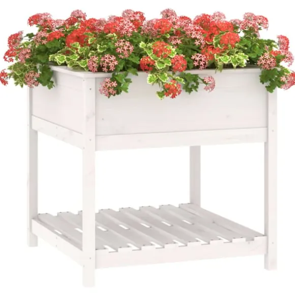 Odlingslåda med hylla vit 82,5x82,5x81 cm massiv furu