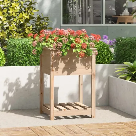 Odlingslåda med hylla 54x54x81 cm massiv furu