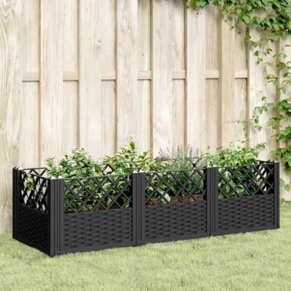 Odlingslåda med piggar svart 123,5x43,5x43,5 cm PP