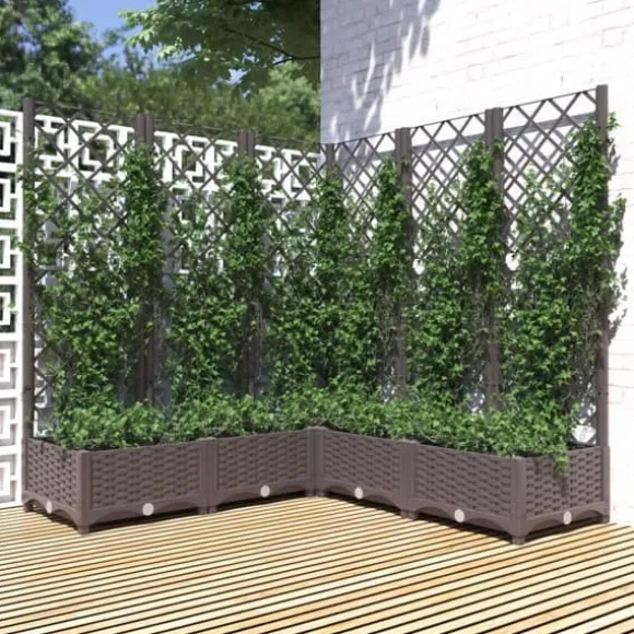 Odlingslåda med spaljé brun 120x120x121,5 cm PP