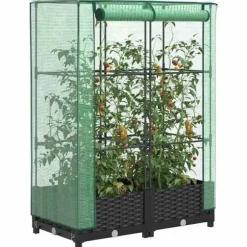 Odlingslåda med växthusöverdrag rottinglook 80x40x123 cm